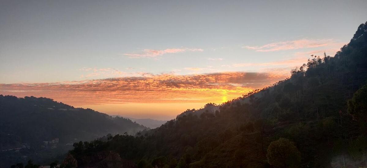 2Bhk Furnished Apartment/Near Kasauli/Barog/Luv Fun & Adventure Solan Exterior photo